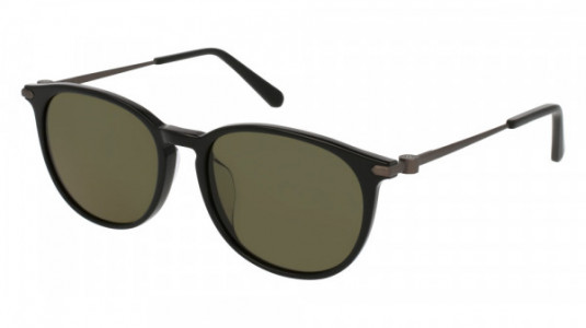 Brioni BR0015SA Sunglasses, BLACK with SILVER temples and GREEN lenses