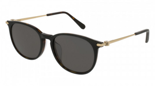 Brioni BR0015SA Sunglasses, BLACK with GOLD temples and GREY lenses