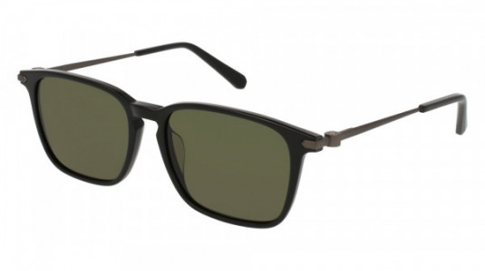 Brioni BR0017SA Sunglasses, BLACK with SILVER temples and GREEN lenses