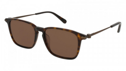 Brioni BR0017SA Sunglasses, HAVANA with BRONZE temples and BROWN lenses