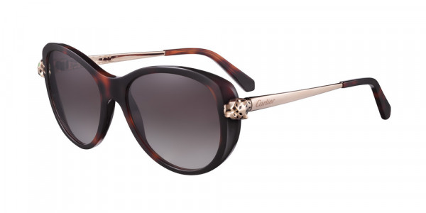 Cartier CT0060S Sunglasses, 002 - HAVANA with GOLD temples and BROWN lenses