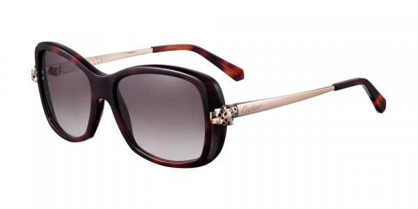 Cartier CT0066S Sunglasses, 001 - HAVANA with GOLD temples and BROWN lenses