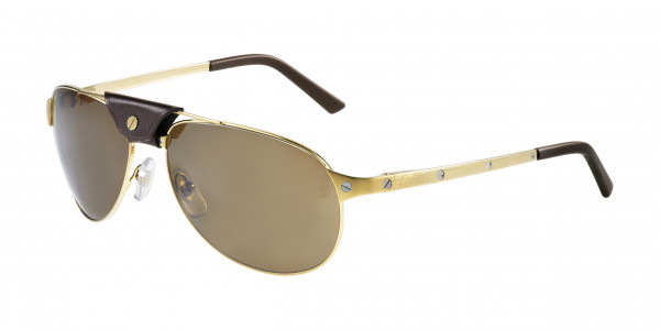 Cartier CT0074S Sunglasses
