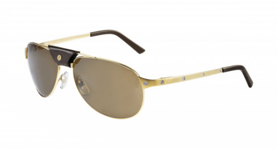 Cartier CT0074S Sunglasses, 003 - GOLD with BROWN polarized lenses