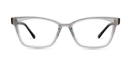 Modo 6619 Eyeglasses, SILVER