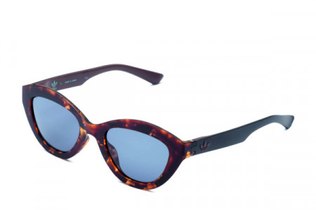 adidas Originals AOR026 Sunglasses, Havana Brown/Black (GYFS) .148.009