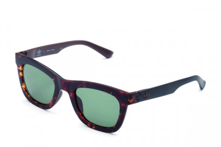 adidas Originals AOR024 Sunglasses, Havana Brown/Black (GRFS) .148.009