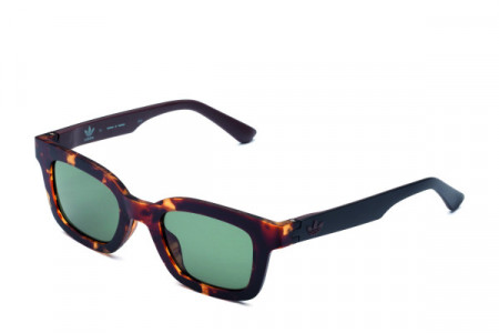 adidas Originals AOR023 Sunglasses, Havana Brown/Black (GRFS) .148.009