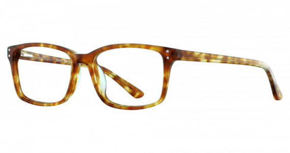 James Dean JDO 618 Eyeglasses, 239 Amber Tort