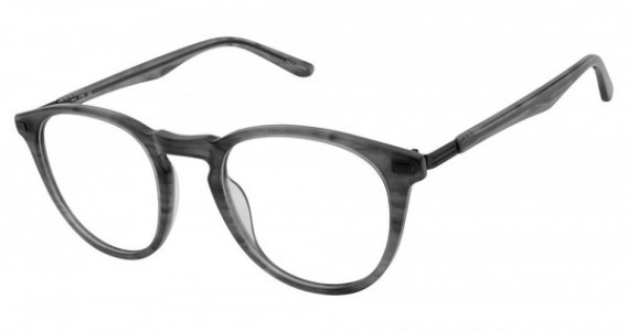 TLG NU026 Eyeglasses, C01 GREY HORN