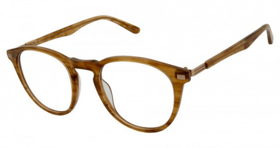 TLG NU026 Eyeglasses, C02 BROWN HORN