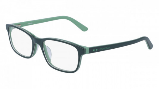 Calvin Klein CK19507 Eyeglasses, (308) PINE/LIGHT GREEN