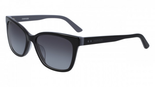 Calvin Klein CK19503S Sunglasses, (032) BLACK/SLATE