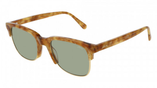 Brioni BR0051S Sunglasses, 004 - HAVANA with GREEN lenses