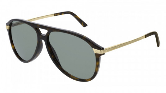 Cartier CT0105S Sunglasses, 002 - HAVANA with GOLD temples and GREEN lenses