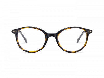 Safilo Design CERCHIO 02 Eyeglasses, 0WR7 BLACK HAVANA