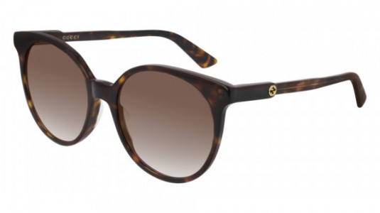 Gucci GG0488S Sunglasses, 002 - HAVANA with BROWN lenses