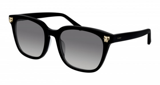 Cartier CT0143SA Sunglasses
