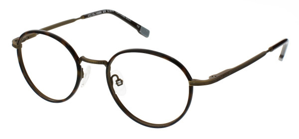 IZOD 2074 Eyeglasses, Tortoise Gold