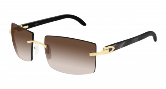 Cartier CT0021RS Sunglasses