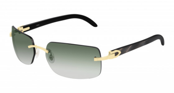 Cartier CT0022RS Sunglasses
