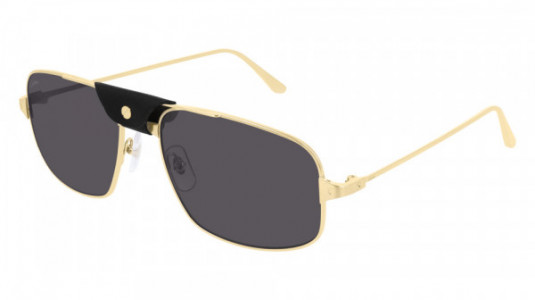 Cartier CT0193S Sunglasses