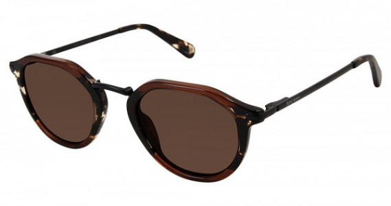 Sperry Top-Sider GALWAY Sunglasses, C02 BROWN TORT (SOLID BROWN)