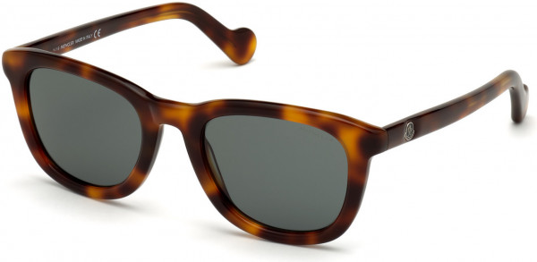 Moncler ML0118 Sunglasses, 52E - Shiny Classic Havana/ Smoke Lenses