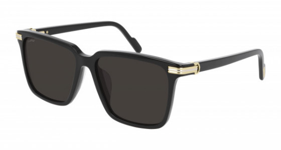 Cartier CT0220SA Sunglasses