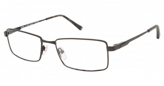 XXL SETTER Eyeglasses