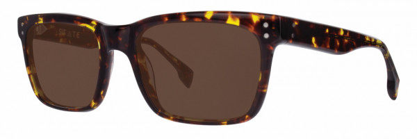 STATE Optical Co STATE Optical Co. Clybourn Sunwear Sunglasses, Amber Tortoise