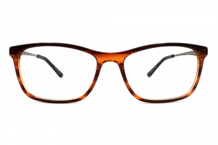Italia Mia IM723 - LIMITED STOCK Eyeglasses, Demi Amber