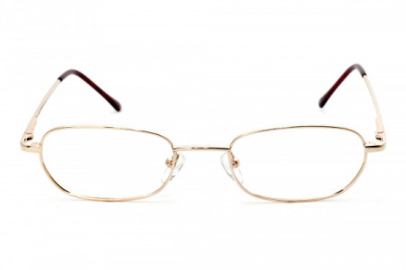Nutmeg NM60 - LIMITED STOCK Eyeglasses, Gold