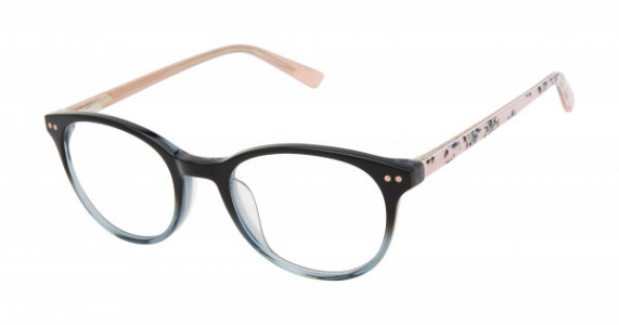 Ted Baker B981 Eyeglasses