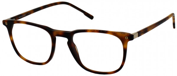 MOLESKINE MO 1156 Eyeglasses, 31-HAVANA