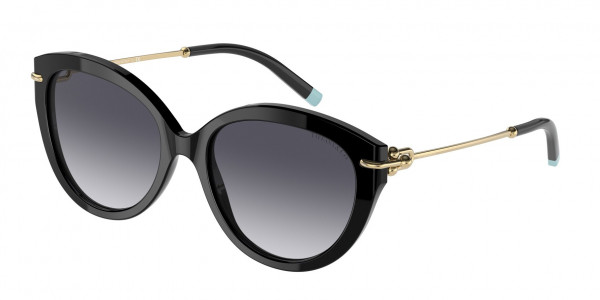 Tiffany & Co. TF4187F Sunglasses