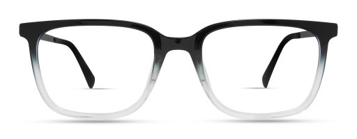 ECO by Modo FIR Eyeglasses, BLACK CRYSTAL