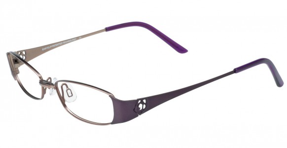 EasyClip P6078 Eyeglasses, SATIN VIOLET/PURPLE