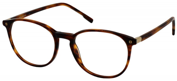 MOLESKINE MO 1164 Eyeglasses, 31-HAVANA
