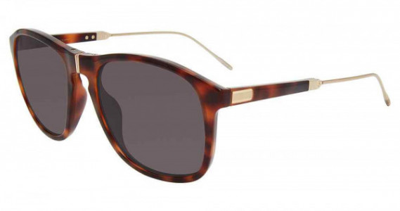 Lozza SL4245 Sunglasses, Brown