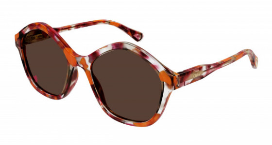Chloé CC0010S Sunglasses, 005 - HAVANA with BROWN lenses