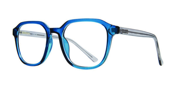 Stylewise SW346 Eyeglasses, Blue