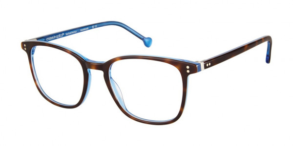 Colors In Optics C1146 LUCAS Eyeglasses, TSBL TORTOISE OVER BLUE