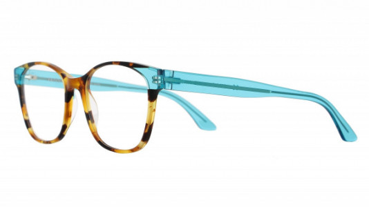 Vanni Spirit V1737 Eyeglasses, spotted havana/transparent  light blue