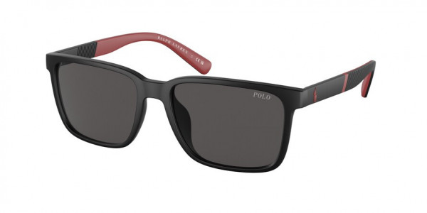 Polo PH4189U Sunglasses