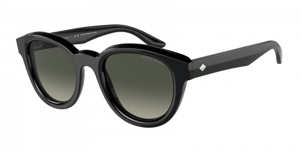 Giorgio Armani AR8181 Sunglasses