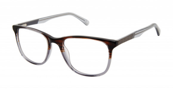 BOTANIQ BIO5005T Eyeglasses, Tortoise/Gray (TOR)