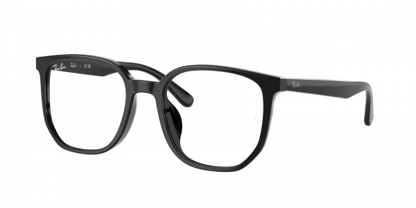 Ray-Ban Optical RX5411D Eyeglasses