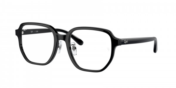 Ray-Ban Optical RX5424D Eyeglasses