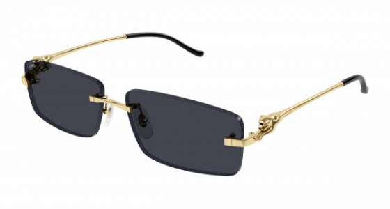 Cartier CT0430S Sunglasses